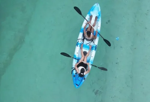 WhatsApp Image 2025 04 03 At 3.03.42 PM