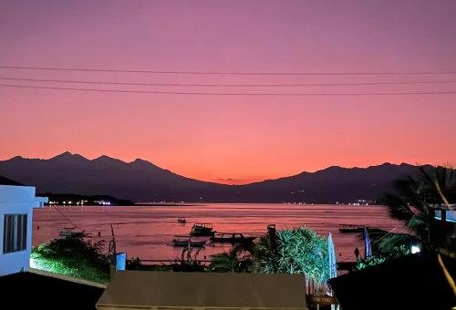 WhatsApp Image 2025-04-03 at 3.02.45 PM