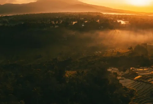 Pexels Stijn Dijkstra 1306815 2499772