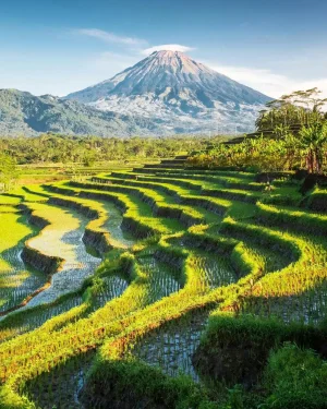 pexels-tujuhsatoe-30527892