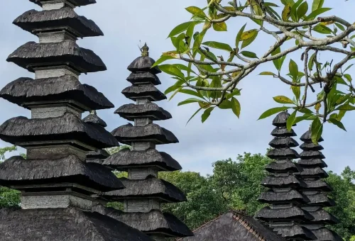 pexels-keins-prajapati-1643462098-27662576