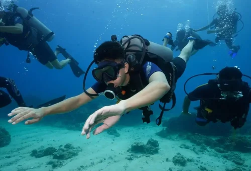 WhatsApp Image 2024 03 31 At 1.11.18 PM