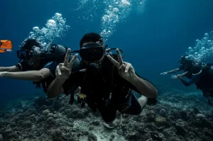 WhatsApp Image 2024-03-31 at 1.11.44 PM