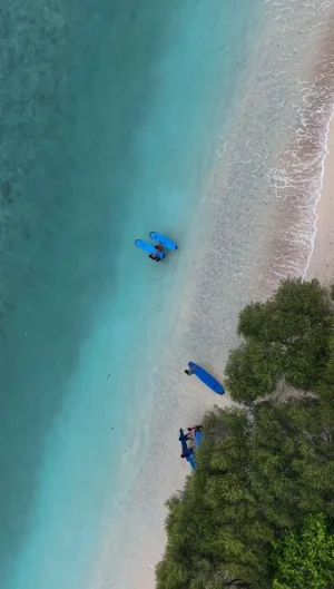 WhatsApp Image 2025-04-06 at 4.15.07 PM (4)