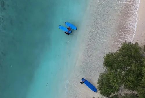 WhatsApp Image 2025 04 06 At 4.15.07 PM (4)