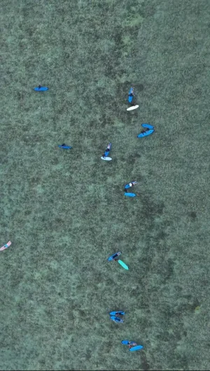 WhatsApp Image 2025-04-06 at 4.15.07 PM (2)