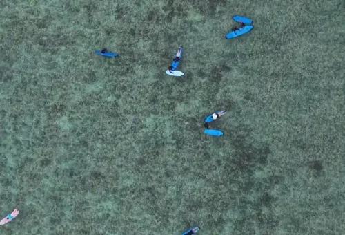 WhatsApp Image 2025-04-06 at 4.15.07 PM (2)