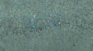 WhatsApp Image 2025-04-06 at 4.15.07 PM (3)