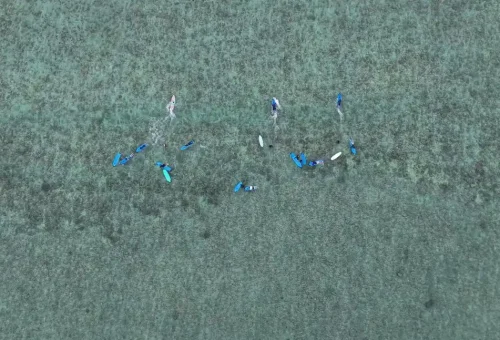 WhatsApp Image 2025-04-06 at 4.15.07 PM (3)