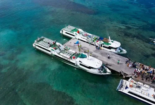 WhatsApp Image 2025 04 22 At 5.32.27 PM