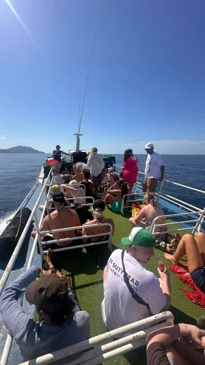 WhatsApp Image 2025-04-22 at 5.32.23 PM (1)