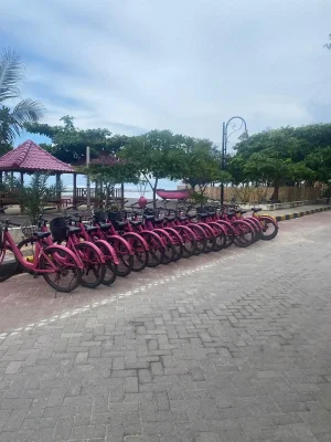 WhatsApp Image 2025-04-22 at 6.03.06 PM