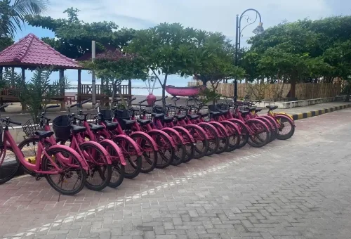 WhatsApp Image 2025-04-22 at 6.03.06 PM