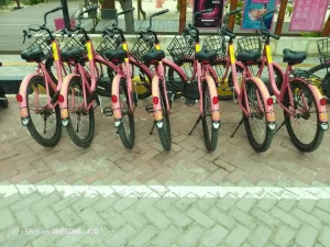 WhatsApp Image 2025-04-22 at 6.03.07 PM