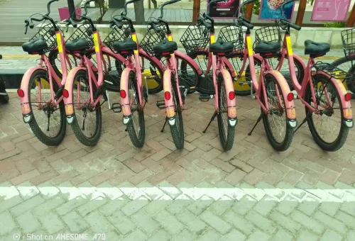 WhatsApp Image 2025-04-22 at 6.03.07 PM