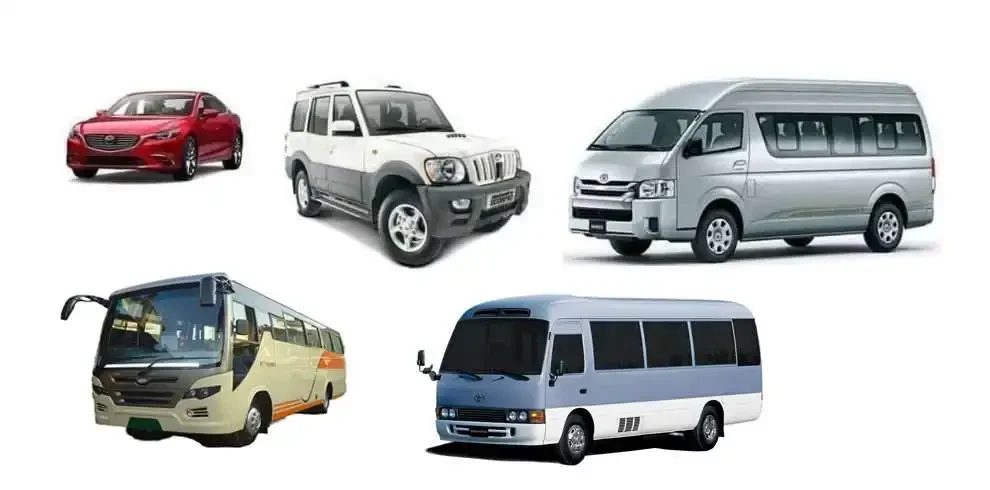 vehicles-rental