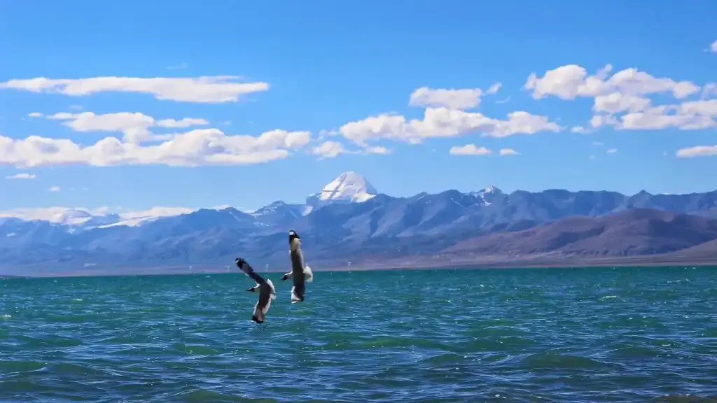 Kailash-Manasarovar-tour