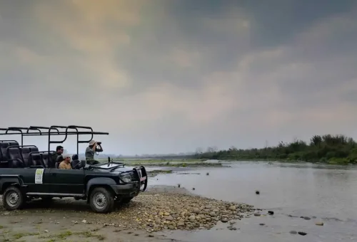 Chitwan-safari