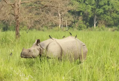 bjl-gallery-18-d35568dc