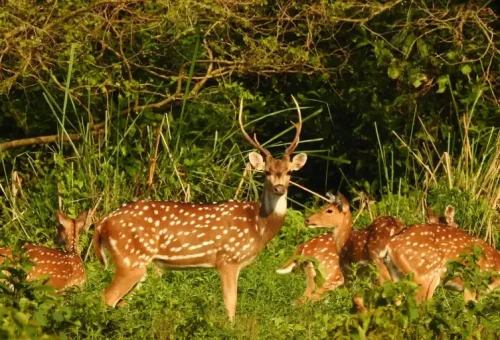 bjl-gallery-8-239661eb