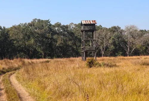 bardiya-national-park