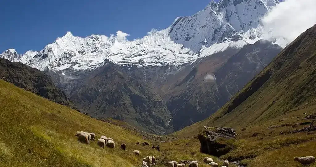 Trekking-in-Nepal-in-September-1024x540-1