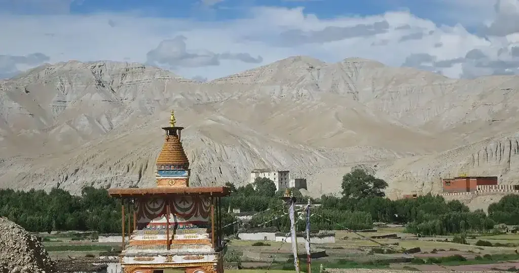 mustang-trek-in-june-july-august-1024x540-1