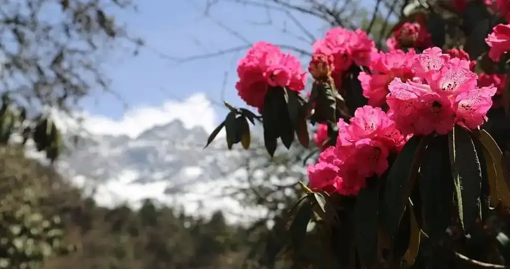 trekking-in-nepal-in-april-1024x540-1