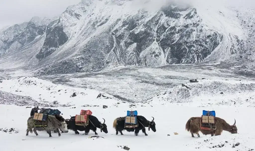 everest-base-camp-trek-in-december-ft-image-1024x605-1