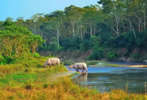 chitwan-nepal-1024x576-1