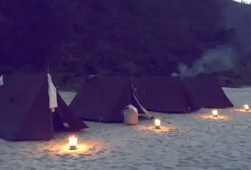 IMG_3777-2-990x490-1