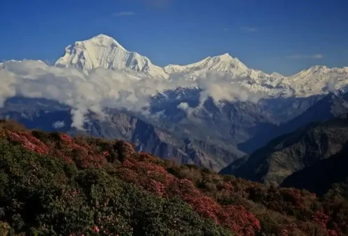 Ghorepani-3