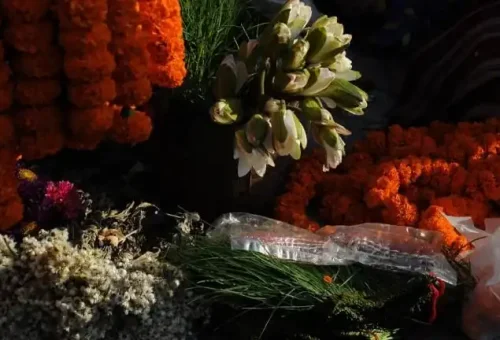 flower-in-kathmandu