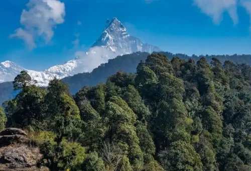 Mardi-Himal