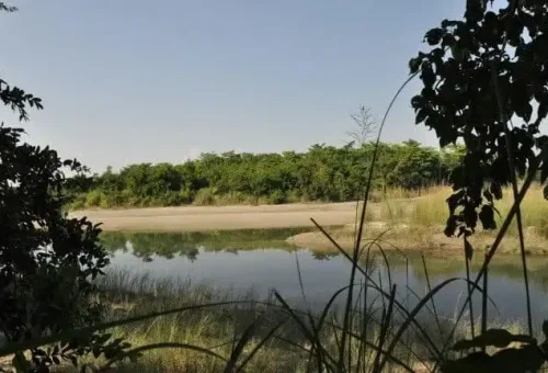 Koshi-Tappu-Wildlife-Tour