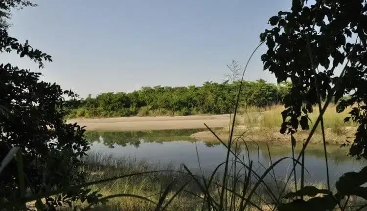 Koshi Tappu Wildlife Tour