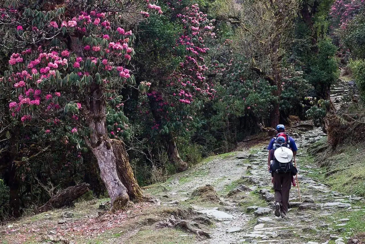 Trekking-in-Nepal-in-March