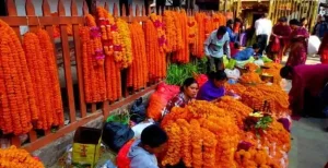Tihar Big Festival Celebrate By Hindus The Festival Of Lights