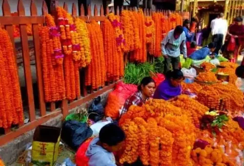 Tihar Big Festival Celebrate By Hindus The Festival Of Lights