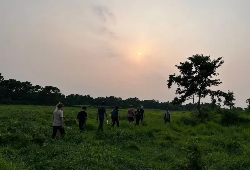 chitwan national park