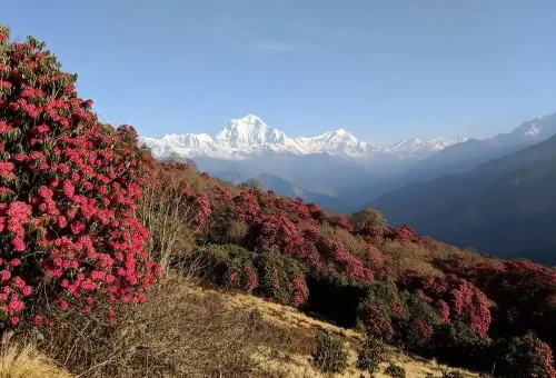 annapurna circuit