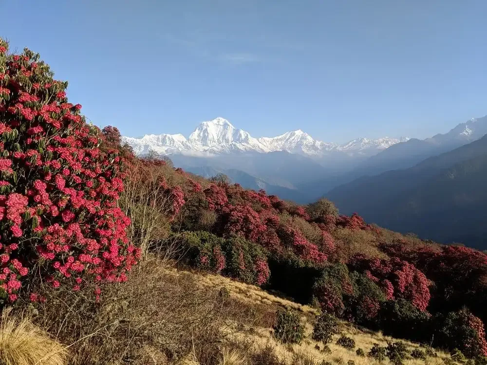 Annapurna Circuit