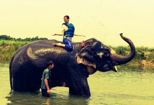 chitwan elephant bath