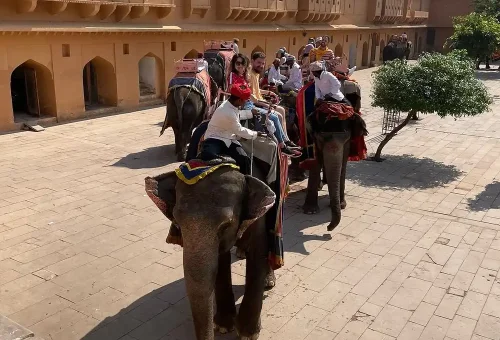 India golden triangle elephnat ride