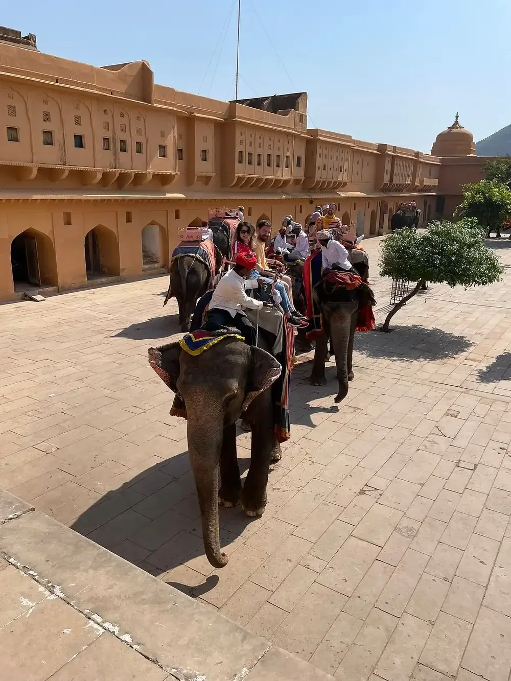 India Golden Triangle Elephnat Ride