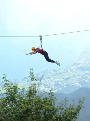 Zip-Flyer-300x405