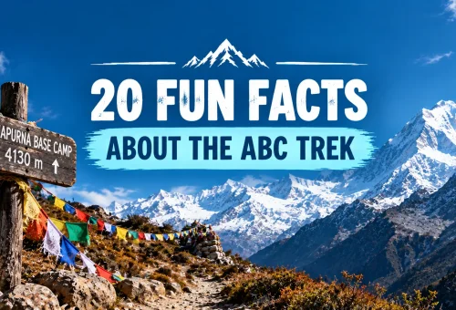 20 Fun Facts About the ABC Trek