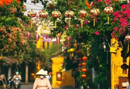 247039_648fda90928b7