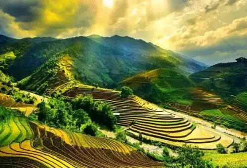 259041_6523c492688e9