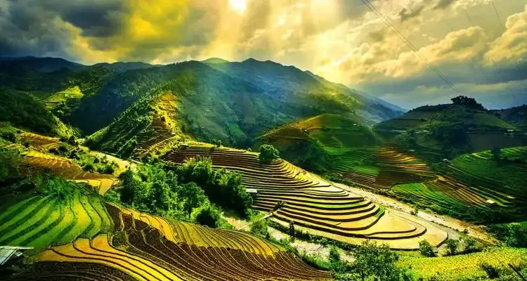 259041_6523c492688e9